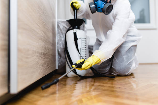 Best Best Pest Control Companies  in Fort Dick, CA