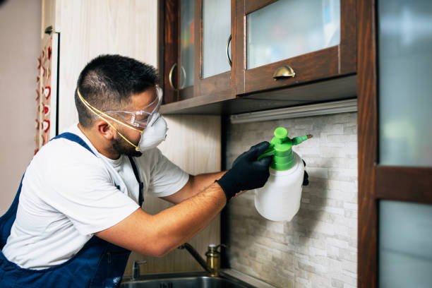 Best Pest Control Near Me in Fort Dick, CA