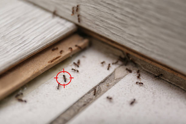 Best Wildlife Control Services  in Fort Dick, CA