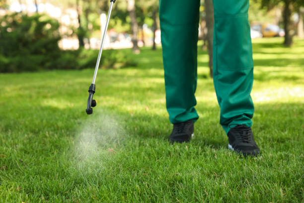Best Pest Removal Services  in Fort Dick, CA