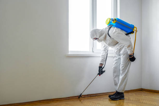Best Ant Control Services  in Fort Dick, CA