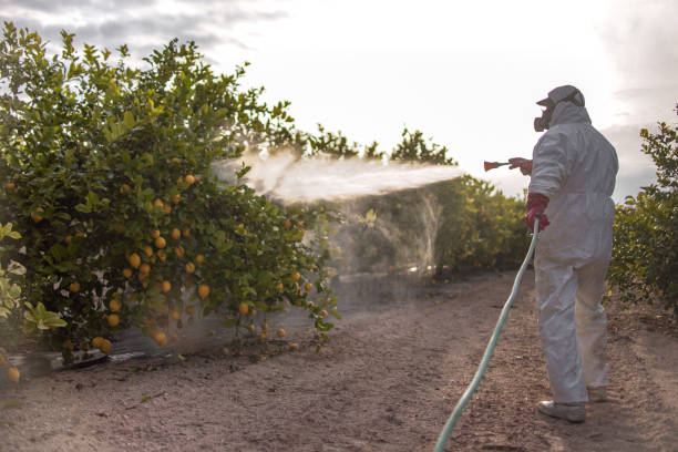  Fort Dick, CA Pest Control Pros