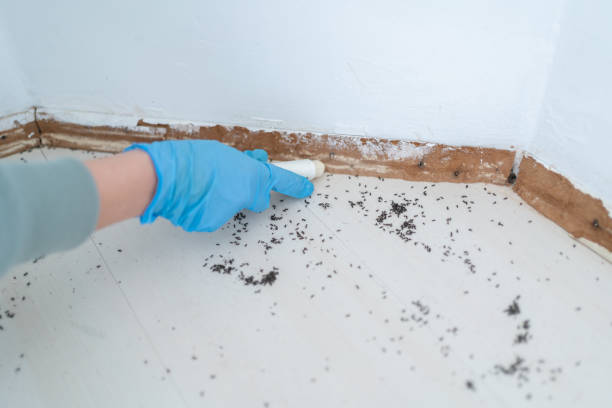 Best Best Pest Control Companies  in Fort Dick, CA